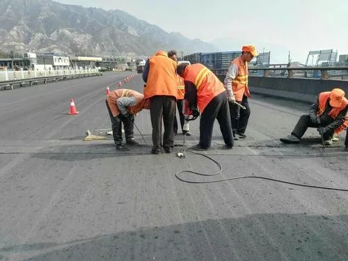 昌洒镇道路桥梁病害治理